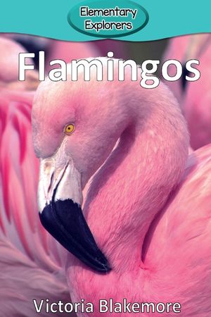 Flamingos image number 0