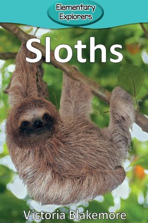Sloths image number 0