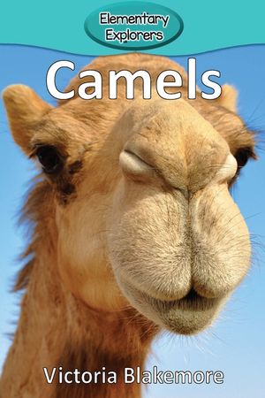 Camels image number 0