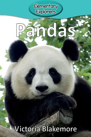 Pandas image number 0
