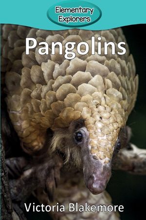 Pangolins image number 0