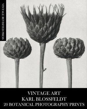 Vintage Art: Karl Blossfeldt 20 Botanical Photography Prints image number 0