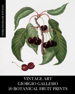 Vintage Art: Giorgio Gallesio 20 Botanical Fruit Prints image number 0