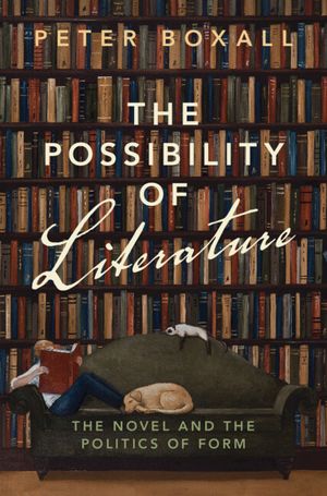 The Possibility of Literature: The Novel and the Politics of Form image number 0