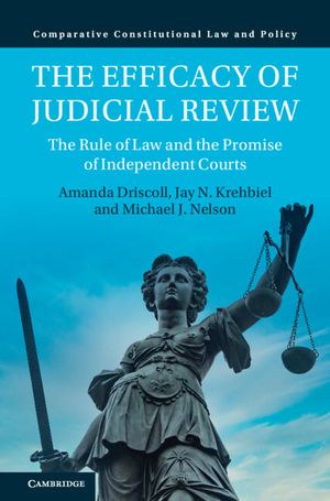 The Efficacy of Judicial Review: The Rule of Law and the Promise of Independent Courts image number 0
