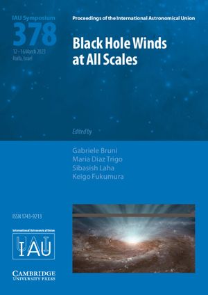 Black Hole Winds at All Scales (Iau S378) image number 0