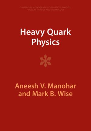 Heavy Quark Physics image number 0