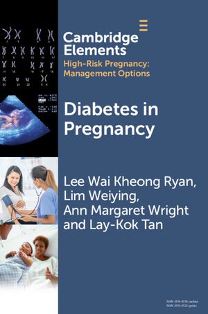 Diabetes in Pregnancy image number 0