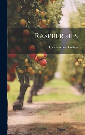 Raspberries image number 0
