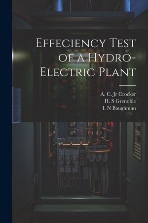 Effeciency Test of a Hydro-electric Plant image number 0