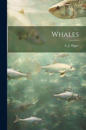 Whales image number 0