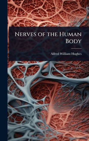 Nerves of the Human Body image number 0