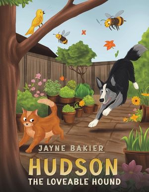 Hudson image number 0