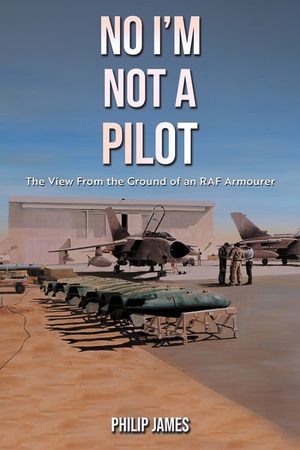 No I'm Not A Pilot image number 0
