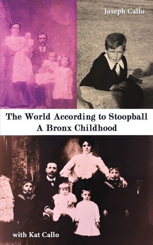 The World According to Stoopball image number 0