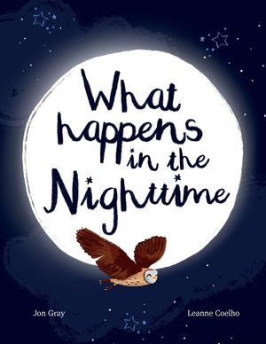 What Happens In The Nighttime image number 0