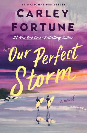 Our Perfect Storm image number 0