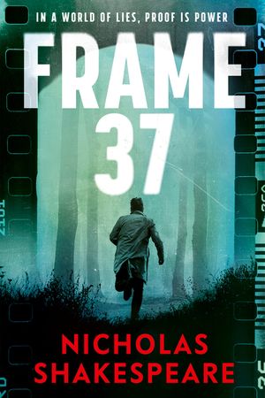 Frame 37 image number 0