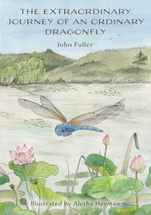 The Extraordinary Journey of an Ordinary Dragonfly image number 0