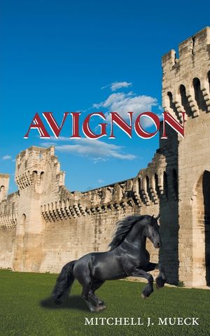 Avignon image number 0