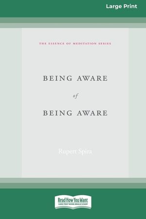 Being Aware of Being Aware (Large Print 16 Pt Edition) image number 0