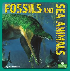 Fossils and Sea Animals image number 0