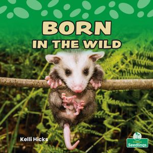 Born in the Wild image number 0