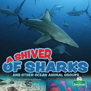 A Shiver of Sharks and Other Ocean Animal Groups image number 0
