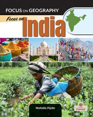 Focus on India image number 0