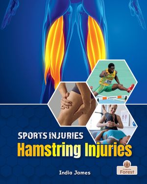 Hamstring Injuries image number 0