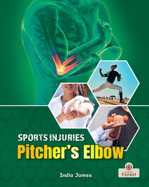 Pitcher's Elbow image number 0
