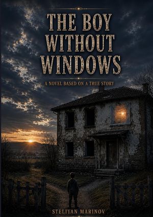 The Boy Without Windows image number 0