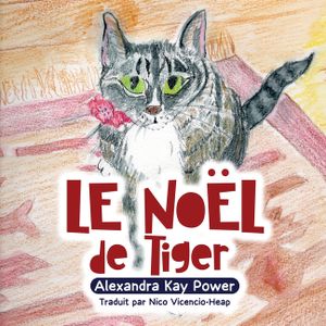 Le No&euml;l de Tiger image number 0