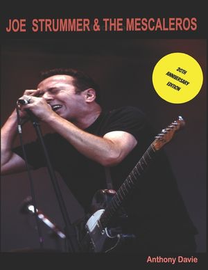 Joe Strummer & The Mescaleros: 20th Anniversary Edition: The History of Joe Strummer & The Mescaleros image number 0