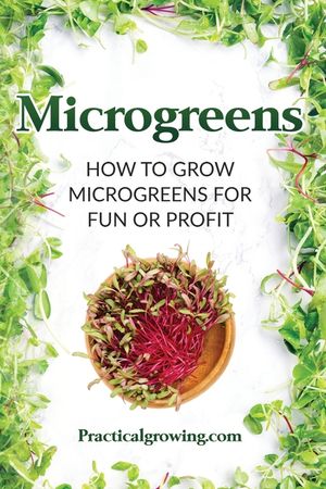 Microgreens: How to Grow Microgreens for Fun or Profit image number 0