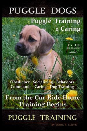 Puggle Dogs, Puggle Training & Caring By D!G THIS DOG TRAINING Obedience - Socializing - Behaviors - Commands - Caring - Dog Training: From the Car Ri image number 0