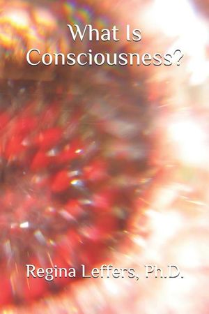 What Is Consciousness? image number 0