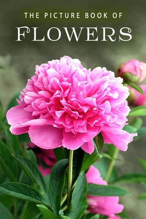 The Picture Book of Flowers: A Gift Book for Alzheimer's Patients and Seniors with Dementia image number 0