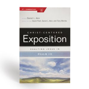 Exalting Jesus in Psalms 119 image number 0