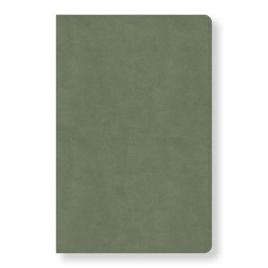 CSB Every Day with Jesus Daily Bible, Sage Leathertouch image number 0