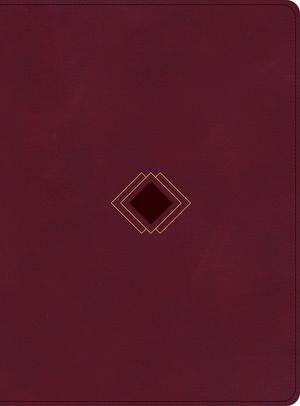 CSB Day-By-Day Chronological Bible, Burgundy Leathertouch image number 0