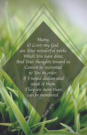 Wonders Bulletin (Pkg 100) General Worship image number 0