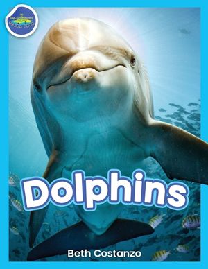 Dolphins! image number 0