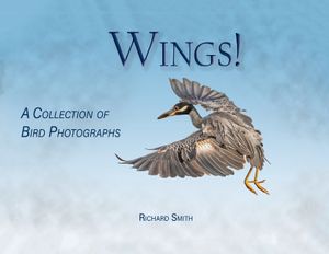 Wings! image number 0