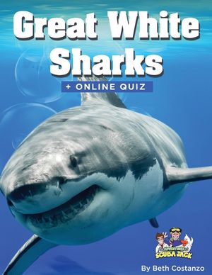 Great White Shark Activity Book for ages 4-8 years of age image number 0