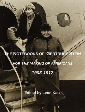 The Notebooks of Gertrude Stein image number 0