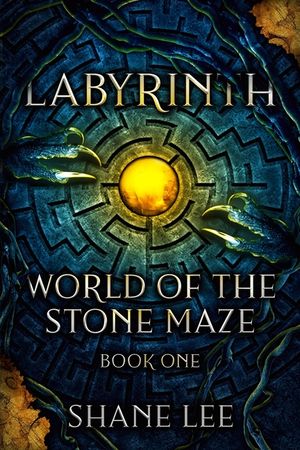 Labyrinth: World of the Stone Maze, Book 1 image number 0
