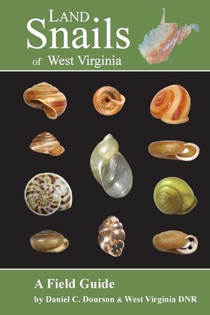 Land Snails of West Virginia image number 0