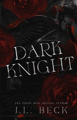 Dark Knight image number 0