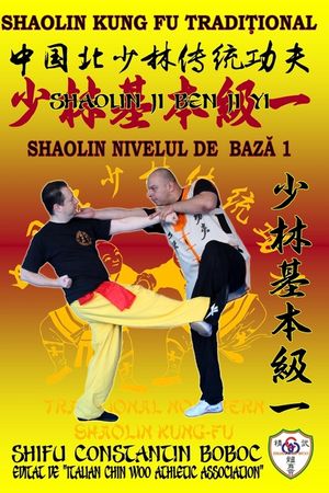 Shaolin Nivelul de Bază 1 image number 0